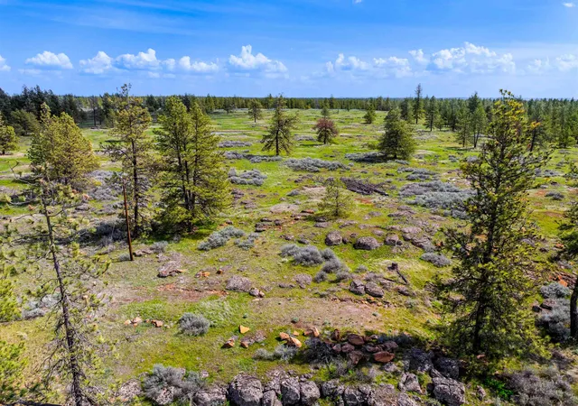 4th image of 21Xxx S S Harrison Rd Rd, Edwall, WA 99008 | MLS# 202617086