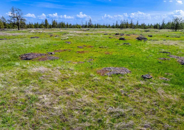 5th image of 21Xxx S S Harrison Rd Rd, Edwall, WA 99008 | MLS# 202617086