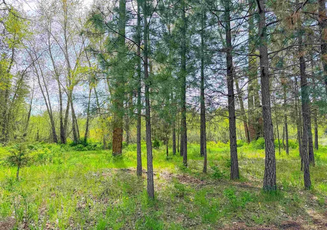 50th image of 617 Arden Hill Rd, Colville, WA 99114 | MLS# 202617158