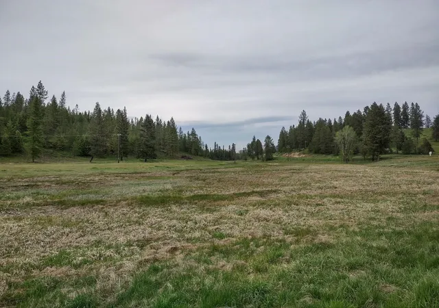 Photo 1 of Land for sale at X E Jump Off Rd, Valley, WA 99181 | MLS# 202617246 | Listing updated on 2026-05-19