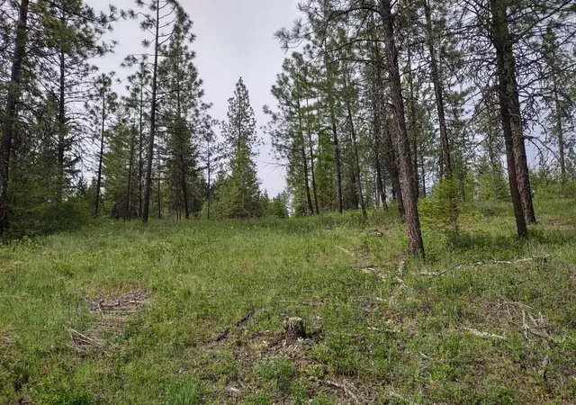Photo 2 of Land for sale at X E Jump Off Rd, Valley, WA 99181 | MLS# 202617246 | Listing updated on 2026-05-19