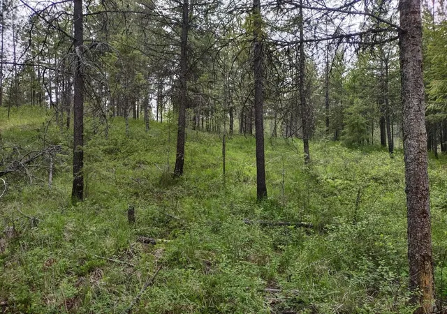 Photo 3 of Land for sale at X E Jump Off Rd, Valley, WA 99181 | MLS# 202617246 | Listing updated on 2026-05-19