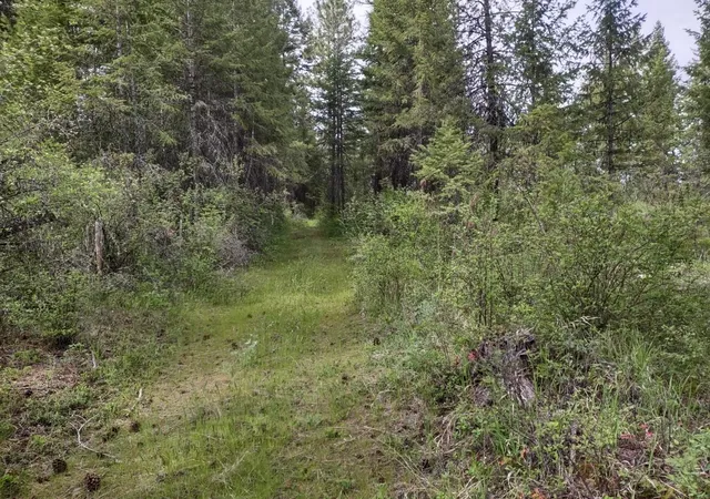 Photo 3 of Land for sale at X E Jump Off Rd, Valley, WA 99181 | MLS# 202617246 | Listing updated on 2026-05-19
