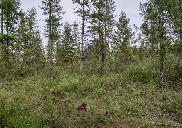 Photo 4 of Land for sale at X E Jump Off Rd, Valley, WA 99181 | MLS# 202617246 | Listing updated on 2026-05-19