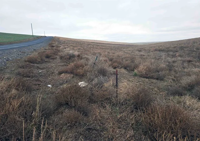29th image of 4200 Wadsworth Rd, Kahlotus, WA 99335 | MLS# 202617250
