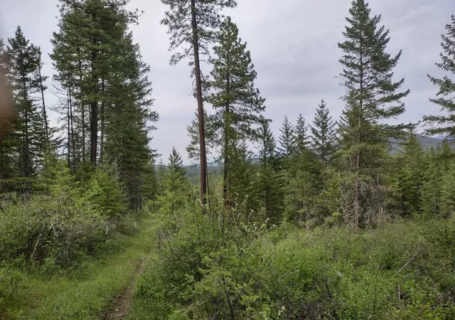 Photo 1 of Land for sale at Xxx E Jump Off Rd, Valley, WA 99181 | MLS# 202617251 | Listing updated on 2026-05-19