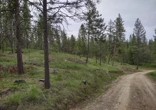 Photo 3 of Land for sale at Xxx E Jump Off Rd, Valley, WA 99181 | MLS# 202617251 | Listing updated on 2026-05-19