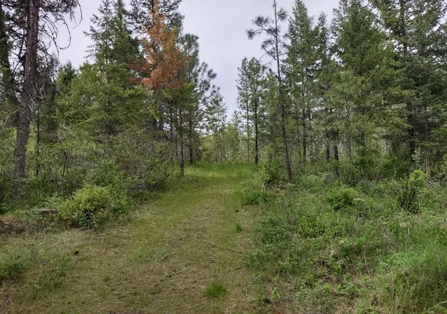 Photo 4 of Land for sale at Xxx E Jump Off Rd, Valley, WA 99181 | MLS# 202617251 | Listing updated on 2026-05-19