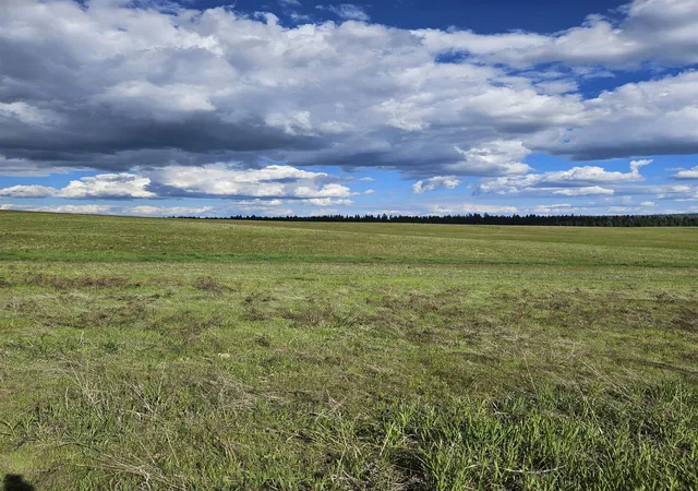 Homes for sale in Springdale, WA | 52xx Wagner Lot A Rd, Springdale, WA 99173 | MLS# 202617306