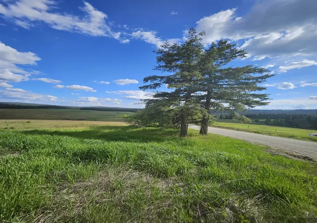 Homes for sale in Springdale, WA | 52Xx Wagner Lot A Rd, Springdale, WA 99173 | MLS# 202617306