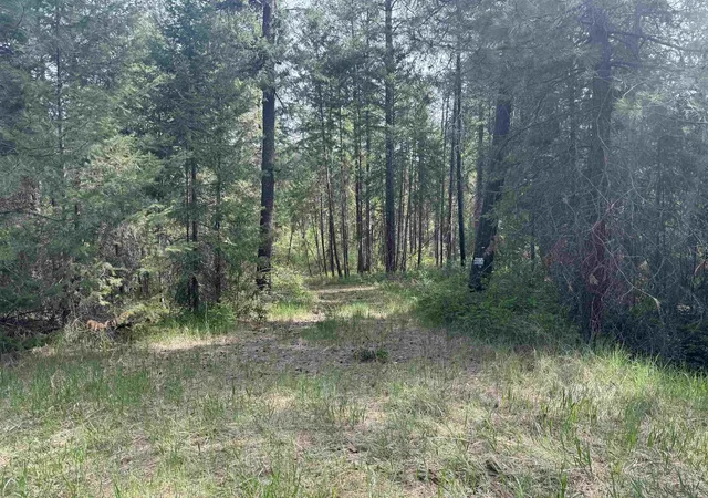 Photo 2 of Land for sale at 67 1st Thought Loop, Laurier, WA 99146 | MLS# 202617323 | Listing updated on 2026-07-01