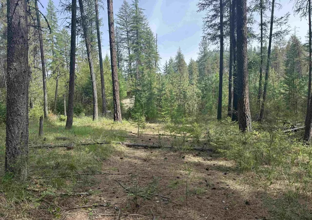 Photo 3 of Land for sale at 67 1st Thought Loop, Laurier, WA 99146 | MLS# 202617323 | Listing updated on 2026-07-01