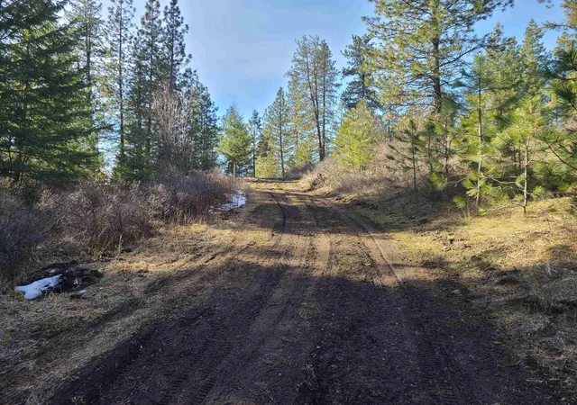Homes for sale in Kettle Falls, WA | 2584 F Bridgeman Rettinger Rd, Kettle Falls, WA 99141 | MLS# 202617373