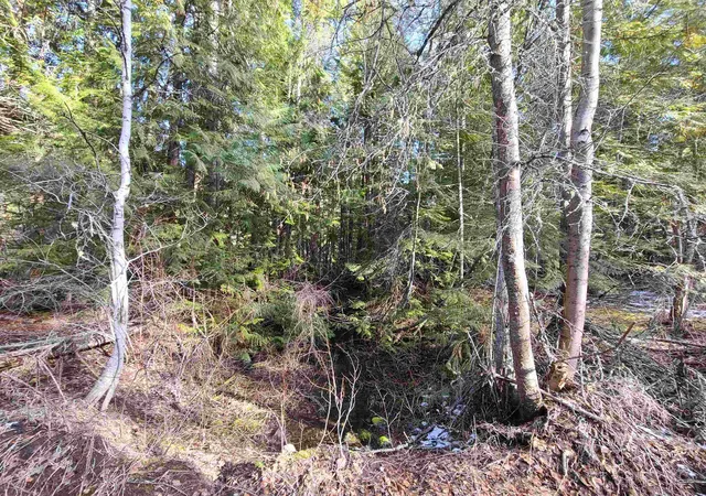 Homes for sale in Kettle Falls, WA | 2584 F Bridgeman Rettinger Rd, Kettle Falls, WA 99141 | MLS# 202617373