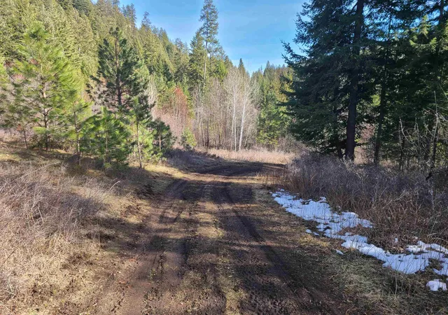 Homes for sale in Kettle Falls, WA | 2584-F Bridgeman Rettinger Rd, Kettle Falls, WA 99141 | MLS# 202617373