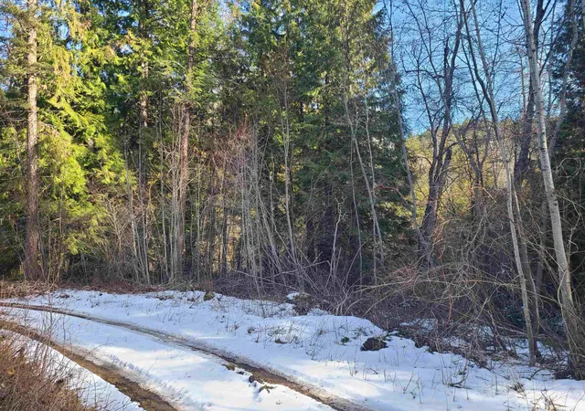 Homes for sale in Kettle Falls, WA | 2584-F Bridgeman Rettinger Rd, Kettle Falls, WA 99141 | MLS# 202617373