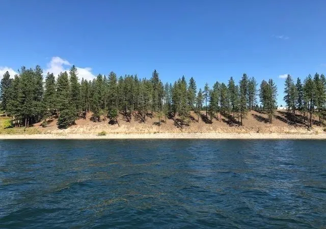 Homes for sale in Kettle Falls, WA | 20Xx Ray Anderson Rd, Kettle Falls, WA 99141 | MLS# 202617427