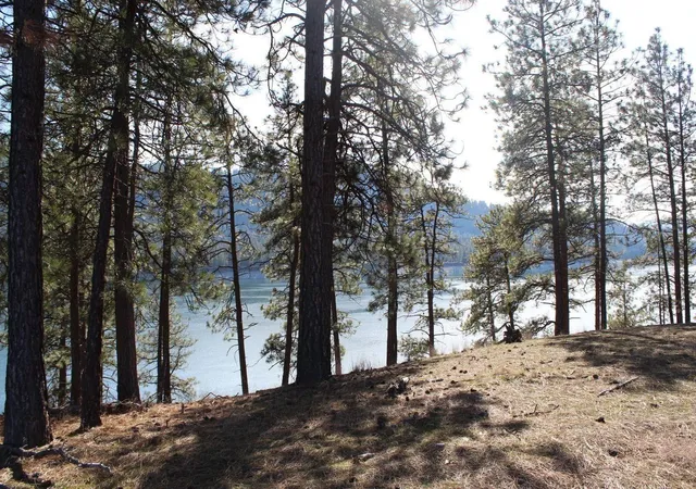 Homes for sale in Kettle Falls, WA | 20Xx Ray Anderson Rd, Kettle Falls, WA 99141 | MLS# 202617427