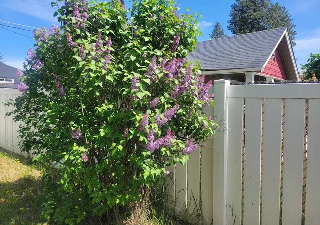 Photo 21 of Single family home for sale at 811 E 38th Avenue, Spokane, WA 99203 | MLS# 202617453 | Listing updated on 2026-08-10