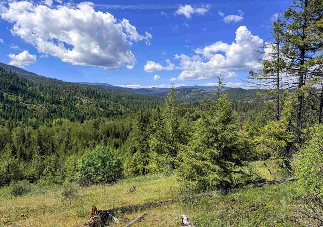 Photo 2 of Land for sale at 3499 Tbd Waitts Lake S Rd, Valley, WA 99181 | MLS# 202617477 | Listing updated on 2026-07-22
