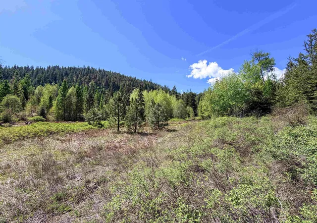 Photo 3 of Land for sale at 3499 Tbd Waitts Lake S Rd, Valley, WA 99181 | MLS# 202617477 | Listing updated on 2026-07-22