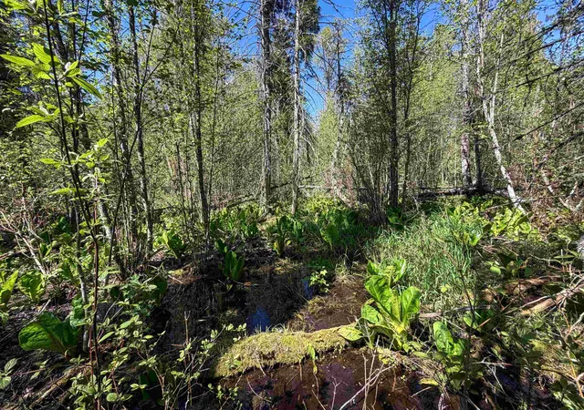 Photo 4 of Land for sale at 3499-tbd Waitts Lake S Rd, Valley, WA 99181 | MLS# 202617477 | Listing updated on 2026-07-22