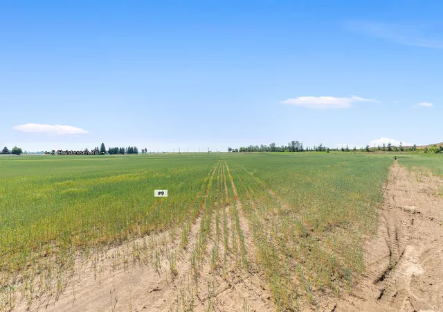 Homes for sale in Medical Lake, WA | Tbd N Christensen Lot 9 Rd, Medical Lake, WA 99022 | MLS# 202617653
