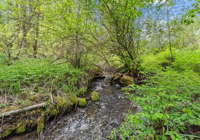 50th image of 2432 Gilson Rd, Addy, WA 99101 | MLS# 202617662