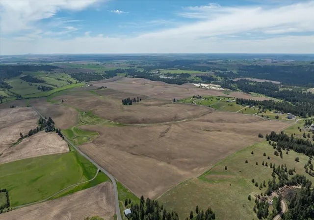 Photo 3 of Land for sale at 00xxx Jackson Rd Lot 17, Mica, WA 99023 | MLS# 202617679 | Listing updated on 2026-10-07