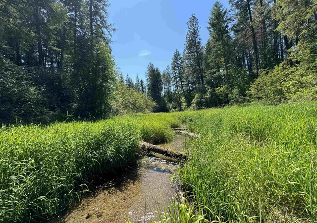 Photo 1 of Land for sale at 530 N A St, Springdale, WA 99173 | MLS# 202617700 | Listing updated on 2026-09-07