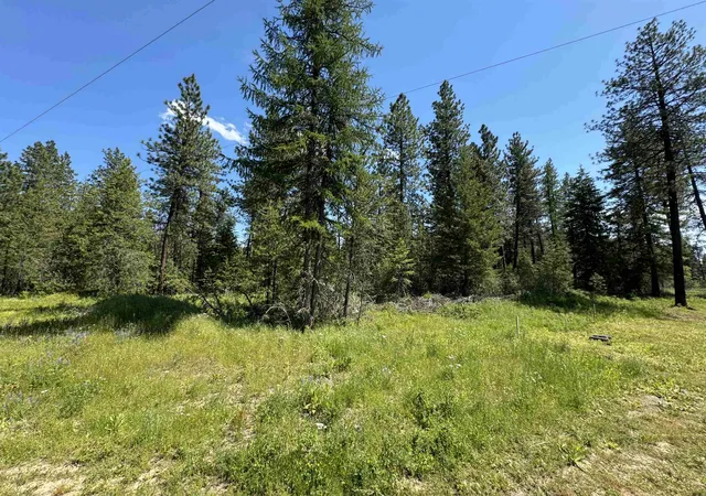 Homes for sale in Springdale, WA | 530 N A St, Springdale, WA 99173 | MLS# 202617700