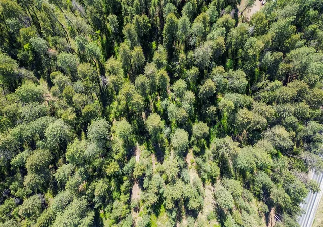 Homes for sale in Kettle Falls, WA | 1879 S 25 Hwy, Kettle Falls, WA 99141 | MLS# 202617731