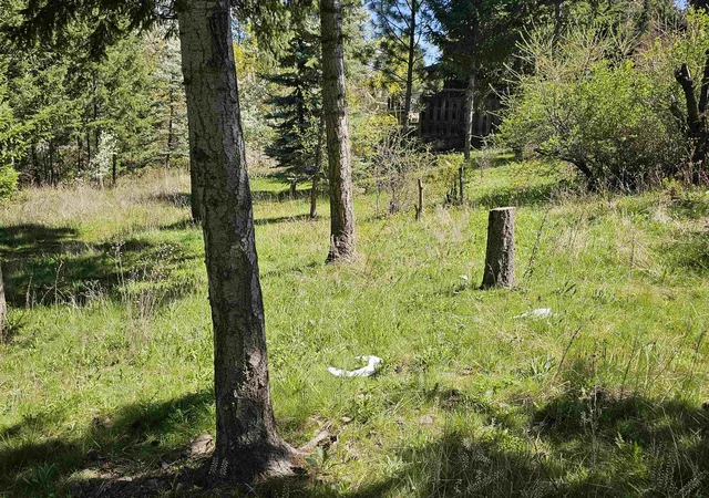 2nd image of 1001 S Haven St, Spokane, WA 99202 | MLS# 202617732