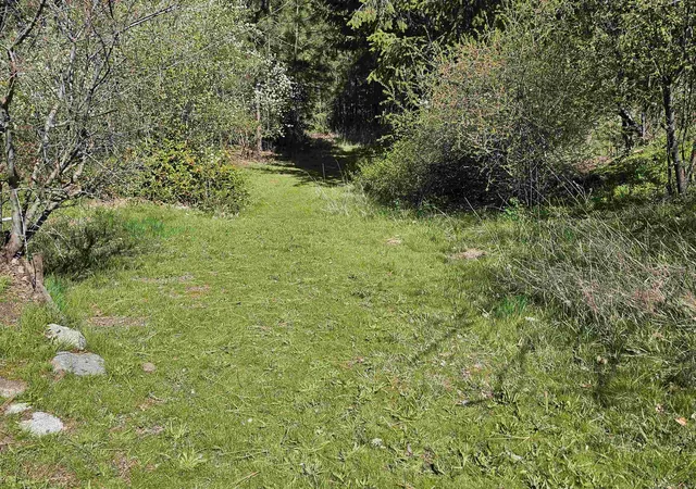 3rd image of 1001 S Haven St, Spokane, WA 99202 | MLS# 202617732