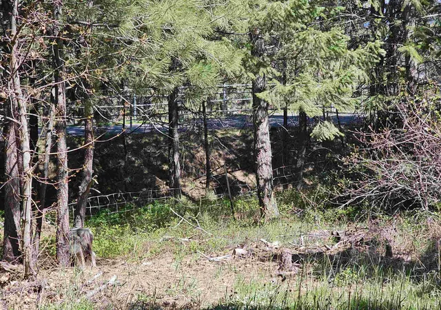 10th image of 1001 S Haven St, Spokane, WA 99202 | MLS# 202617732