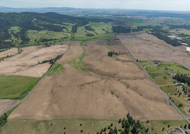 3rd image of 00Xxx Jackson Rd, Mica, WA 99023 | MLS# 202617789