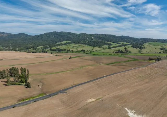 33rd image of 00xxx Jackson Rd, Mica, WA 99023 | MLS# 202617789
