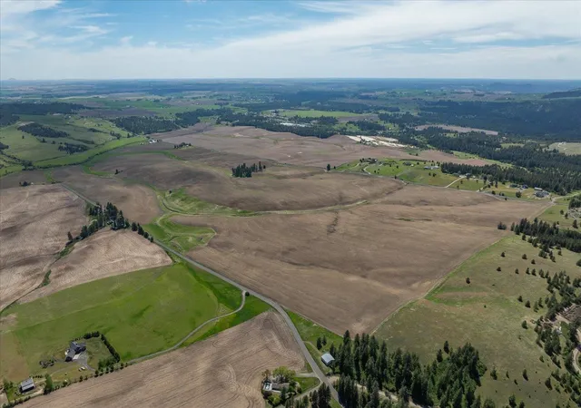 4th image of 00Xxx Jackson Rd, Mica, WA 99023 | MLS# 202617789