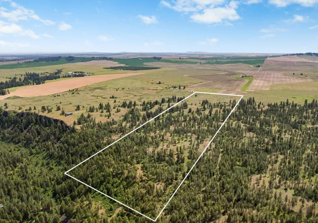 Homes for sale in Reardan, WA | 00 W Highland Rd Off Coulee Hite Rd, Reardan, WA 99029 | MLS# 202617847