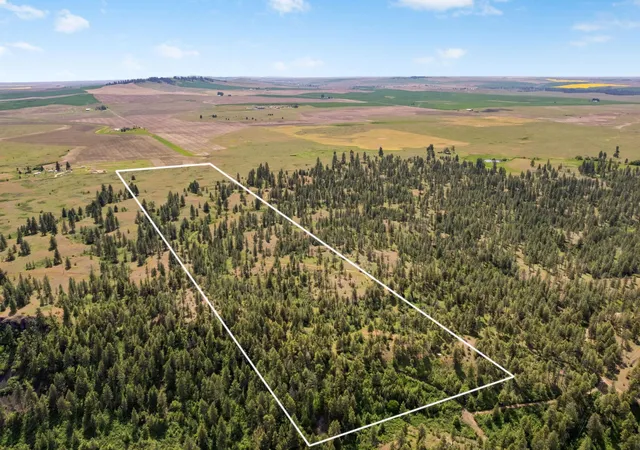 Homes for sale in Reardan, WA | 00 W Highland Rd Off Coulee Hite Rd, Reardan, WA 99029 | MLS# 202617847