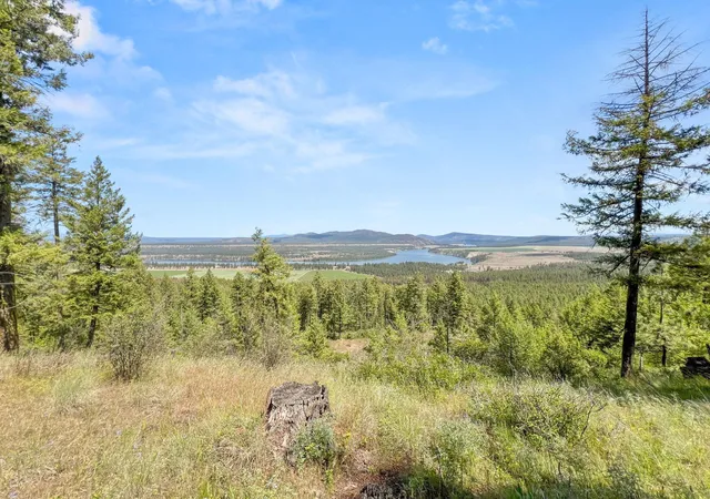 Homes for sale in Reardan, WA | 00 W Highland Rd Off Coulee Hite Rd, Reardan, WA 99029 | MLS# 202617847
