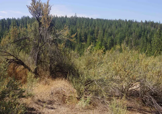 Homes for sale in Davenport, WA | Lot 24 Timber Bay Dr, Davenport, WA 99122 | MLS# 202617938