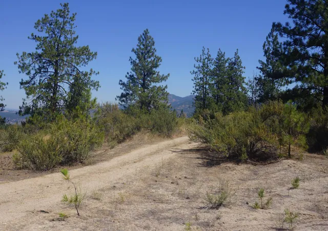 Homes for sale in Davenport, WA | Lot 24 Timber Bay Dr, Davenport, WA 99122 | MLS# 202617938