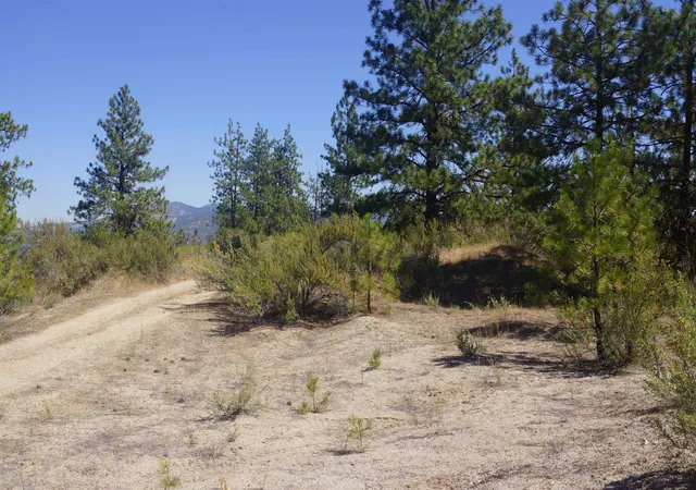 Homes for sale in Davenport, WA | Lot 24 Timber Bay Dr, Davenport, WA 99122 | MLS# 202617938
