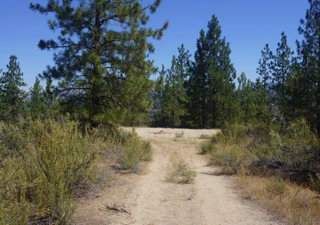 Homes for sale in Davenport, WA | Lot 24 Timber Bay Dr, Davenport, WA 99122 | MLS# 202617938
