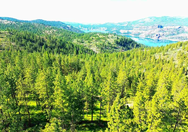 Photo 3 of Land for sale at Xx00 E Timberbay Dr, Davenport, WA 99122 | MLS# 202617939 | Listing updated on 2026-07-27
