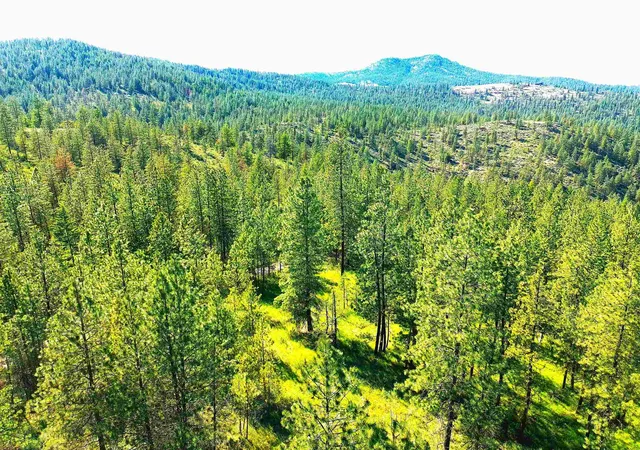 Photo 4 of Land for sale at Xx00 E Timberbay Dr, Davenport, WA 99122 | MLS# 202617939 | Listing updated on 2026-07-27