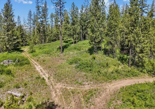 2nd image of 18xxx E Miner Rd, Mead, WA 99021 | MLS# 202617943