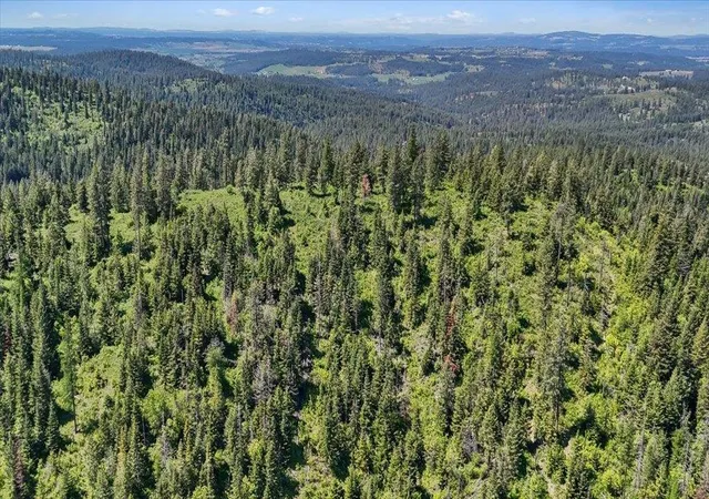 Photo 3 of Land for sale at 18xxx E Miner Rd, Mead, WA 99021 | MLS# 202617943 | Listing updated on 2026-08-11