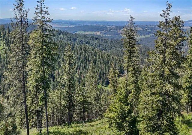 Photo 4 of Land for sale at 18xxx E Miner Rd, Mead, WA 99021 | MLS# 202617943 | Listing updated on 2026-08-11